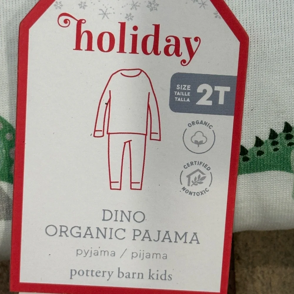 Christmas Dino Organic Cotton Pajama Set - PBK